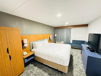 Suite, 1 King Bed, Non Smoking