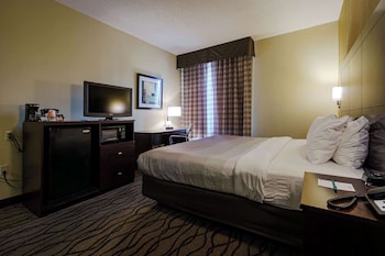 Standard Room, 1 King Bed with Sofa bed, Non Smoking