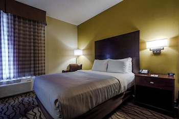 Standard Room, 1 King Bed with Sofa bed, Non Smoking