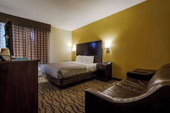 Standard Room, 1 King Bed with Sofa bed, Non Smoking