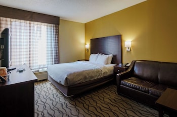 Standard Room, 1 King Bed with Sofa bed, Non Smoking