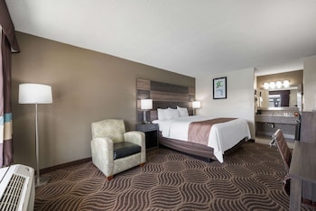 Room, 1 Double Bed, Accessible, Non Smoking