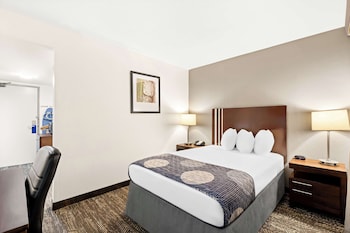 Standard Room, 1 Double Bed, Accessible, Non Smoking