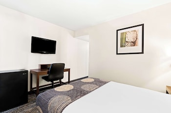 Standard Room, 1 Double Bed, Accessible, Non Smoking