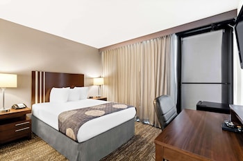 Standard Room, 1 Double Bed, Accessible, Non Smoking