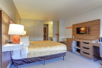 Room, 1 King Bed, Accessible, Non Smoking