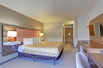 Room, 1 King Bed, Accessible, Non Smoking