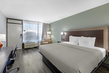 Standard Room, 1 King Bed, Smoking