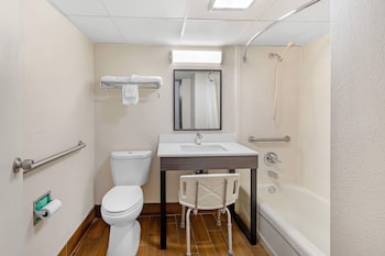 Room, 1 Double Bed, Accessible, Non Smoking