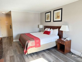 Room, 1 King Bed, Non Smoking
