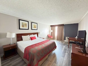 Room, 1 King Bed, Non Smoking