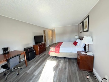 Room, 1 King Bed, Non Smoking (Pet Friendly)