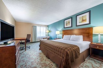Room, 1 King Bed, Non Smoking