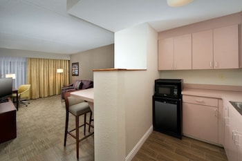 Suite, 1 King Bed with Sofa bed, Non Smoking