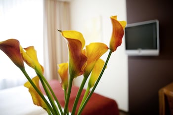 Room (Smart & Cosy)