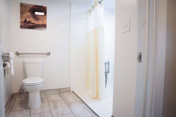 Standard Room, 1 Queen Bed, Accessible, Refrigerator & Microwave (Theme Room)