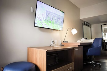Standard Room, 1 Queen Bed, Accessible, Refrigerator & Microwave (Theme Room)