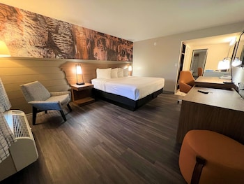 Standard Room, 1 King Bed, Non Smoking (Walk-in Shower;Theme Room)
