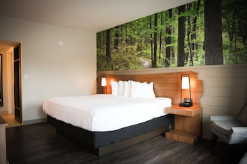 Standard Room, 1 King Bed, Accessible, Refrigerator & Microwave (Theme Room)
