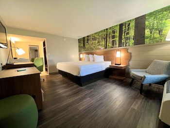 Standard Room, 1 King Bed, Non Smoking, Refrigerator & Microwave (Walk-in Shower;Theme Room)