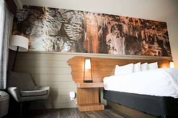 Standard Room, 1 King Bed, Non Smoking (Walk-in Shower;Theme Room)