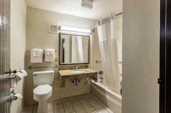 Room, 1 Double Bed, Accessible, Non Smoking