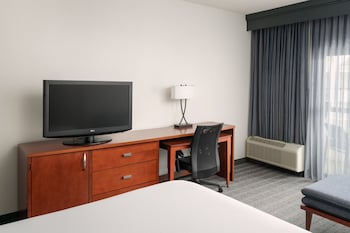 Room, 1 King Bed with Sofa bed