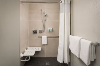 Room, 1 King Bed with Sofa bed (Mobility/Hearing Access, Roll-In Shwr)