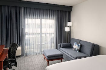 Room, 1 King Bed with Sofa bed