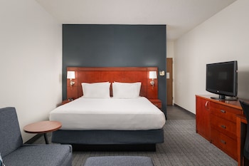 Room, 1 King Bed with Sofa bed