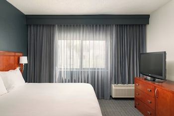 Suite, 1 King Bed with Sofa bed, Non Smoking
