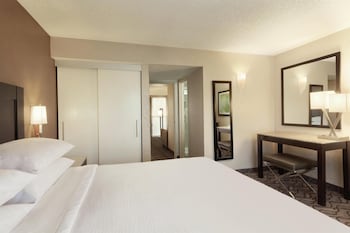 Suite, 1 King Bed (Shower Only)