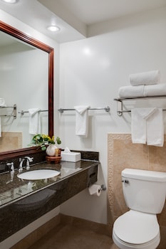 Executive Suite, 1 King Bed with Sofa Bed