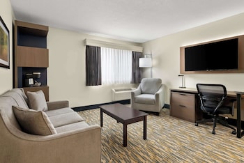 Suite, 1 King Bed, Non Smoking, Refrigerator & Microwave (with Sofabed)
