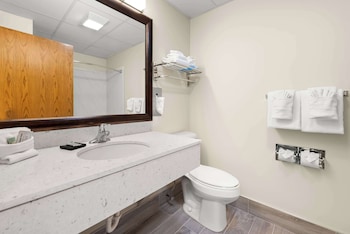 Suite, 1 King Bed, Non Smoking, Refrigerator & Microwave (with Sofabed)