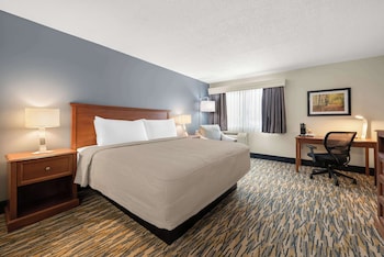 Standard Room, 1 King Bed, Accessible, Refrigerator & Microwave (1st Floor)