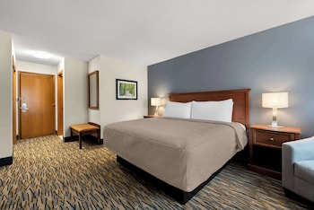 Standard Room, 1 King Bed, Non Smoking, Refrigerator & Microwave