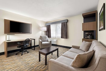 Suite, 1 King Bed, Non Smoking, Jetted Tub (with Sofabed)