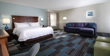 Room, 1 King Bed