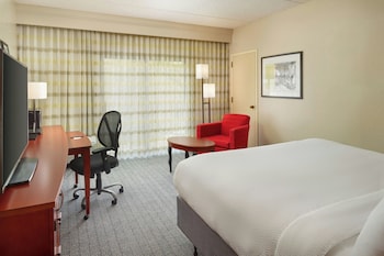 Room, 1 King Bed (Mobility/Hearing Accessible, Tub)