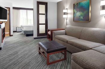 Room, 1 King Bed, Accessible, Bathtub