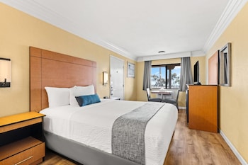 Room, 1 Queen Bed, Non Smoking