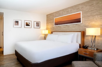 Room, 1 King Bed