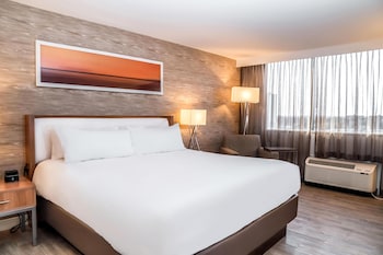 Room, 1 King Bed