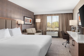Room, 1 King Bed with Sofa bed, Accessible (Hearing)