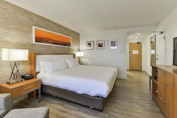 Room, 1 King Bed