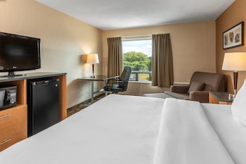 Standard Room, 1 King Bed, Non Smoking