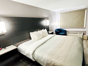 Standard Room, 1 King Bed, Non Smoking