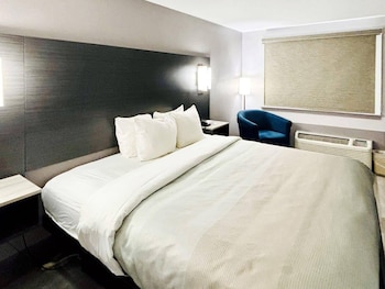 Standard Room, 1 King Bed, Non Smoking