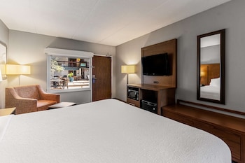 Standard Room, 1 King Bed, Refrigerator & Microwave, Poolside (1st Floor)